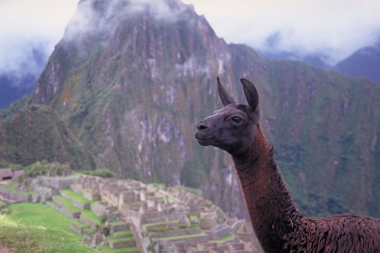 }`s` Machupicchu