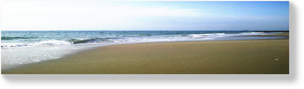 孔子と失われた十支族 訣別の書 鹿島　曻 孔子と失われた十支族 訣別の書 鹿島 曻／著｜Yahoo!フリマ（旧