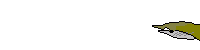 200*50