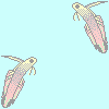 100*100