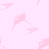 100*100