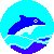50*50