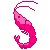 50*50