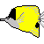 50*50