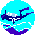 50*50