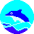 50*50