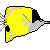 50*50