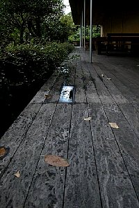 DSCN3783M.JPG