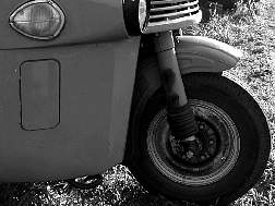 P8110065m.jpg