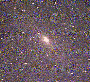 M31