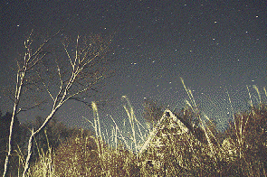 �J���X��