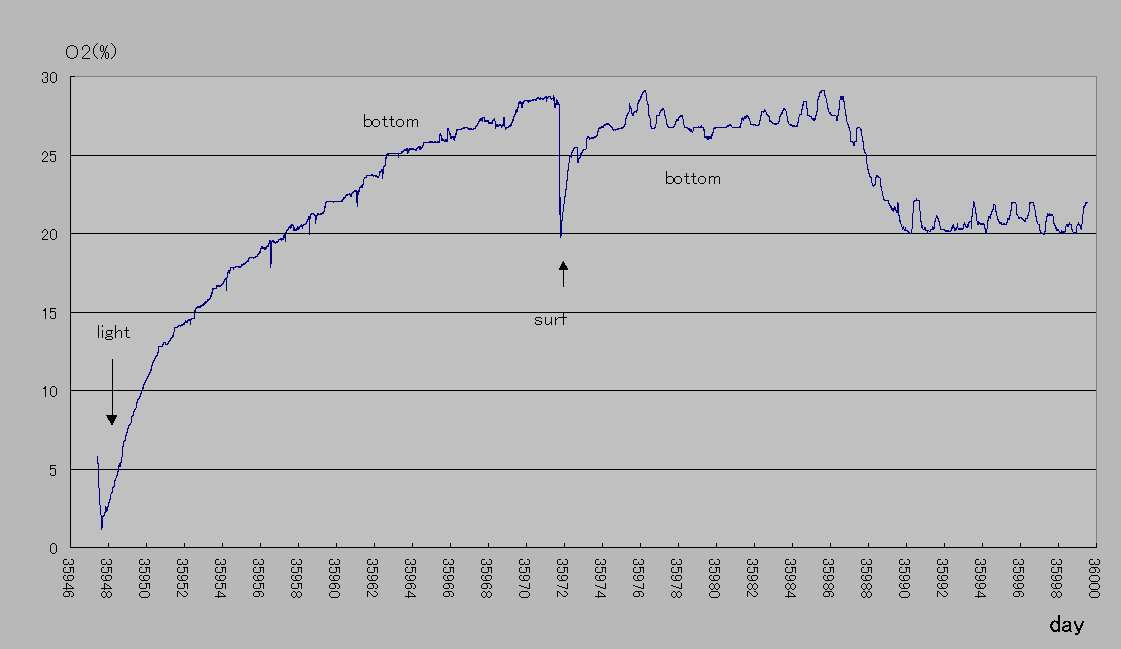 DO-graph