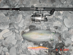 �`���b�Ə��Ԃ肾���ǁA�Ƃ肠�����E�E�E�l�B