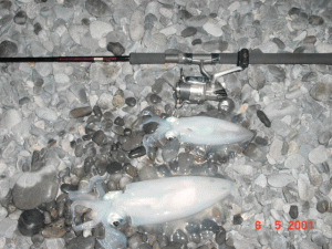 5��6���̒މʂł��B