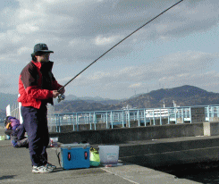 �������I�������I�������I