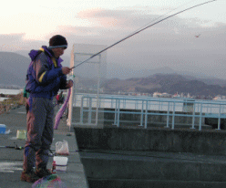 �A�W�@�f�����I