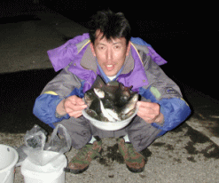 �R����̋e�n��