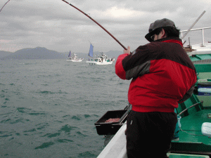 ���ƁA�T���i�D���ɗ_�߂�ꂽ�P���يْ��̍\����^���ɒ��ځI�j