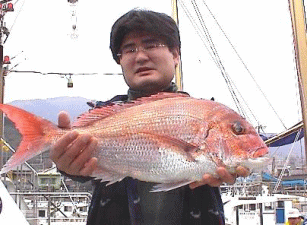 ���D��A�吭�ۂ̑D�����B���Ă���܂����B