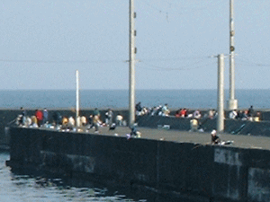 ������[�̗l�q