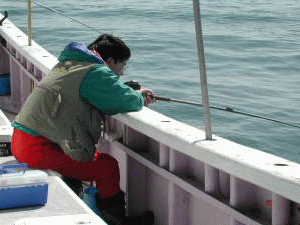 �ӂ��`���E�E�E�B