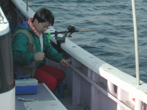 �����`�B