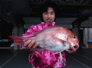 1.45kgの真鯛。ほかにイナダも釣ったよ。