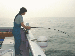 まじめに釣ってるちあきちゃん