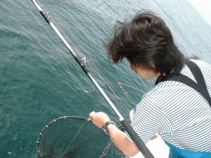 無事タモ入れ成功。