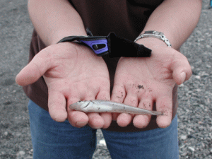 �����������Ⴍ�Č����Ȃ����āH