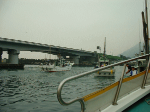 �o�D���i�ł��B