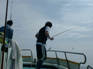 �����������A�f�d�s�I�I