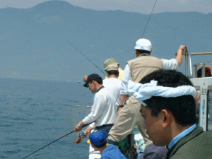 �C���ۂ̏�A����B�C�g�����f�d�s�I