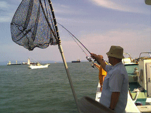 �蕗�i�E�E�E�B