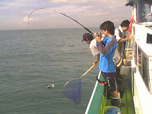 �A�W�̉j�����ɂg�h�s�I����蒆�́A�����������B