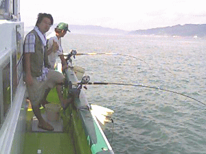 �ނ�Ȃ��ˁ`�ƌ����Ă���̂��H�M�����u���叫