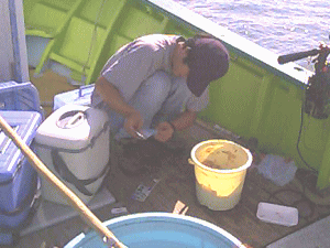 ���܂荪���l�߂�Ɛ����܂����A�t���B