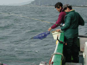 ���`����ɗ����^��̎�荞�ݕ��i