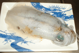 �L�O���ׂ��P�t�ڂ̃A�I��