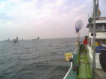 �^��ނ�̗l�q�i�E���j