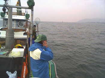 �^��ނ�̗l�q�i�����j