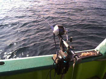 �����V���[�g���b�h