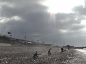 �����C�݂ł̗l�q�i�P�j�@�_�̐؂�Ԃ�����̌����I�I