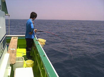 �\�`�_�ƋY���A�����������