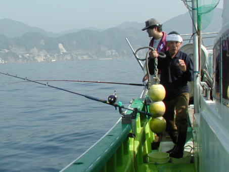 ��������񎖁A�`�h�ۂ̑D���ł��B