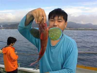 �Ȃ����A�z�E�{�E�������Ă��邷�`����E�E�E