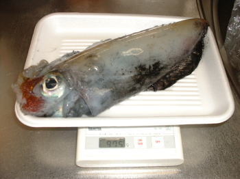 ���̒މʁi�P�j