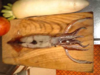 �M�����u���叫�̒މ�