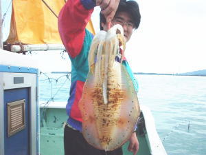 �P�D�T����