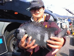 ちょっと氷焼けしてしまいました。